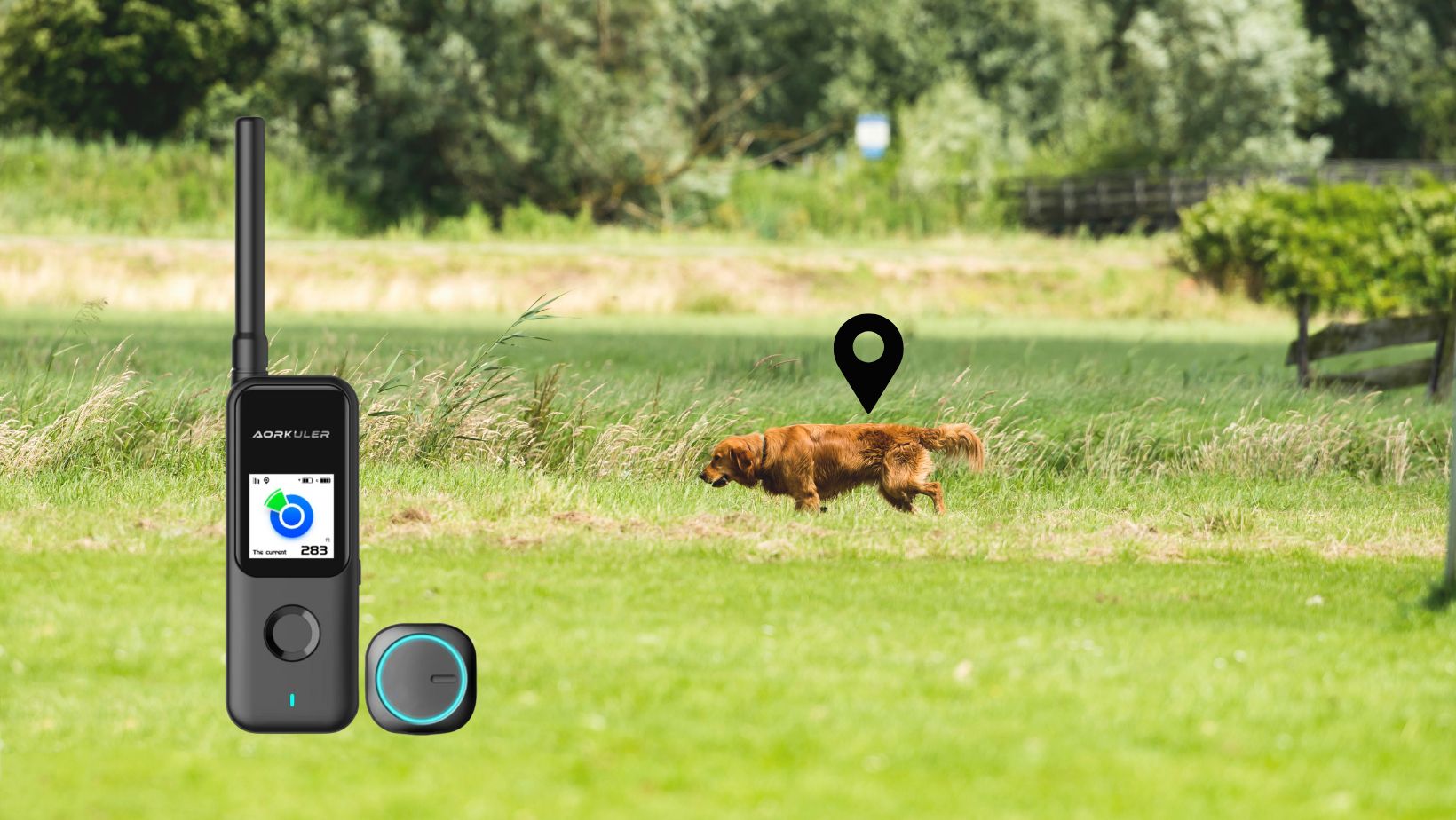 7 Essential Considerations When Choosing a Dog Tracking Device